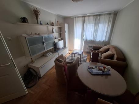 Jednoiposoban namešten stan Nova detelinara