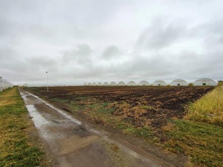 Poljoprivredno Gazdinstvo 5,2ha proizvodnja paprike