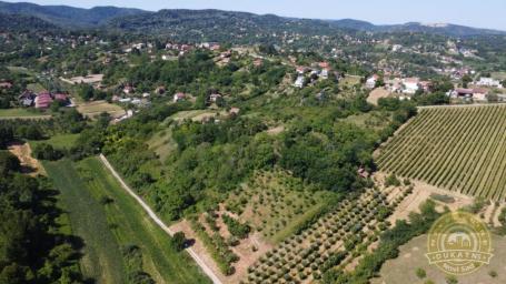 KAMENIČKE LIVADE