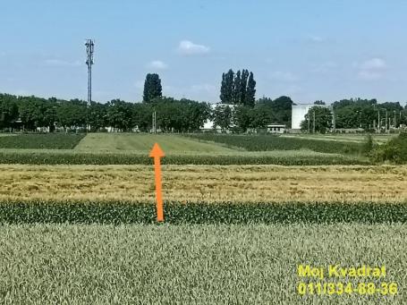 Zemun, Batajnica - Pustara, 45.84a