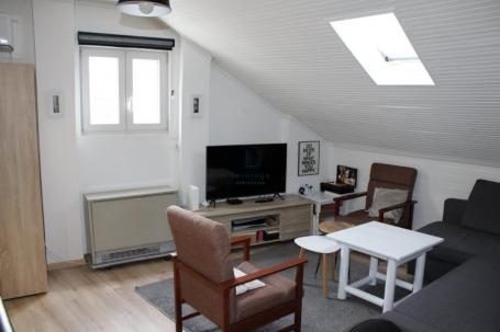 Zeleni Venac, Lomina, 55 m2