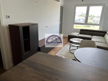 Izdavanje, Stan, 46m2 , Bubanj