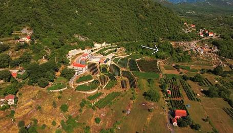 PRODAJA – PLAC I ŠUMA U DOBRSKOM SELU, CETINJE