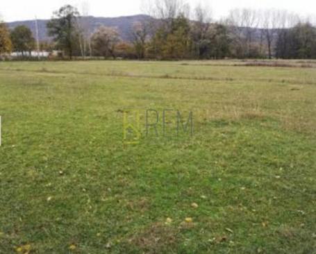 Prodaja – plac Livade, Bandici