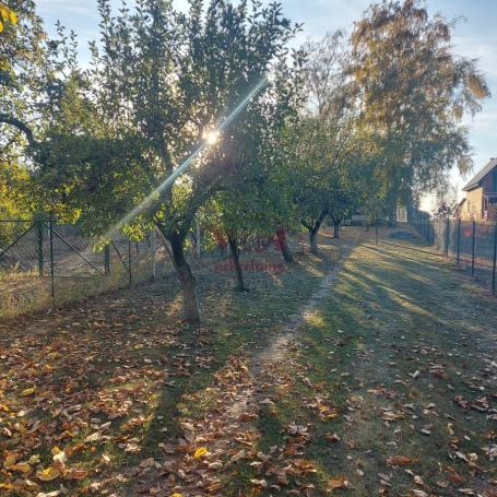 Bačko Gradište, Biserno ostrvo, Lepa vikendica okružena zelenilom, sa izlazom na dve ulice