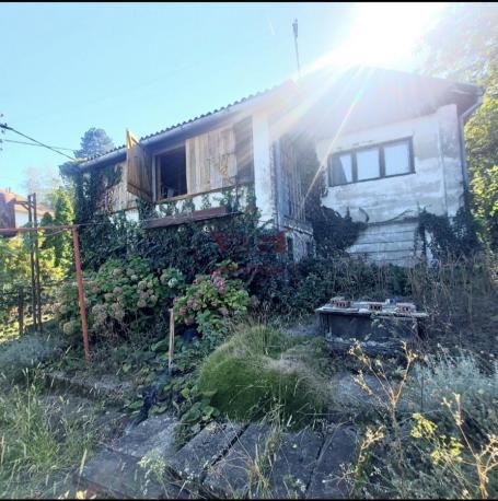Sremska Kamenica - Popovica, vikendica sa puno zelenila na 20m od asfaltnog puta