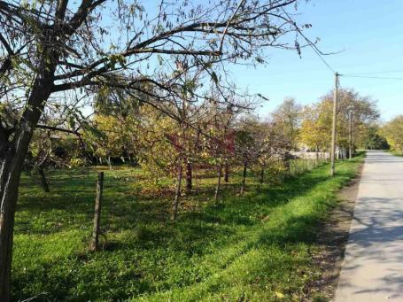 Srbobran, Komforan salaš na velikom placu od 23.9 ara -  500m od naselja uz asfaltni put