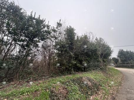 Istra, Materada, poljoprivredno zemljište, šuma, vinograd 25.264 m2