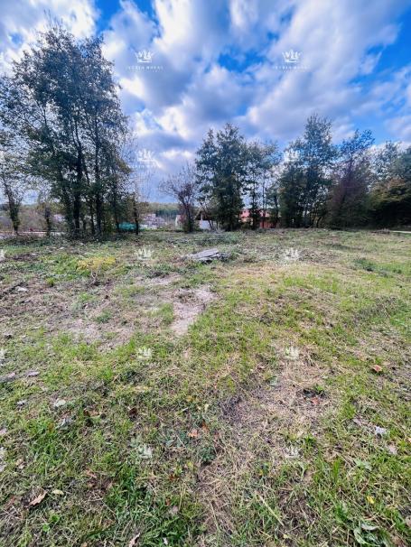 Istra, Karojba – Građevinsko zemljište 1450 m² s projektom i građevinskom dozvolom