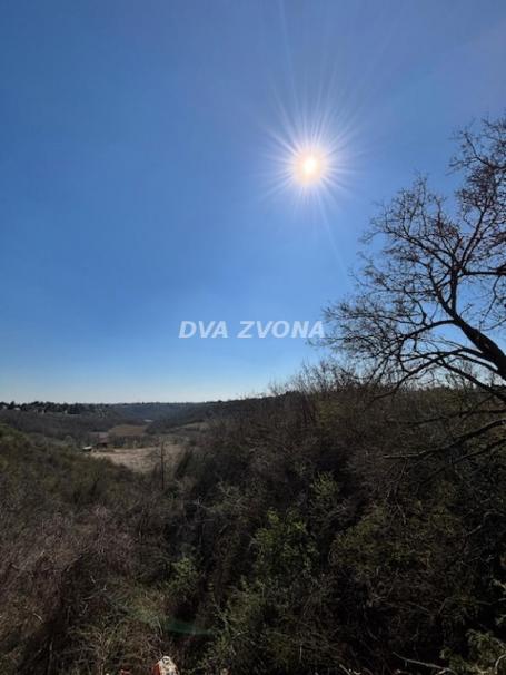 Ekskluzivna parcela 1,67 ha u Čortanovcima – Idealna za vikend naselje, voćnjak ili investiciju!