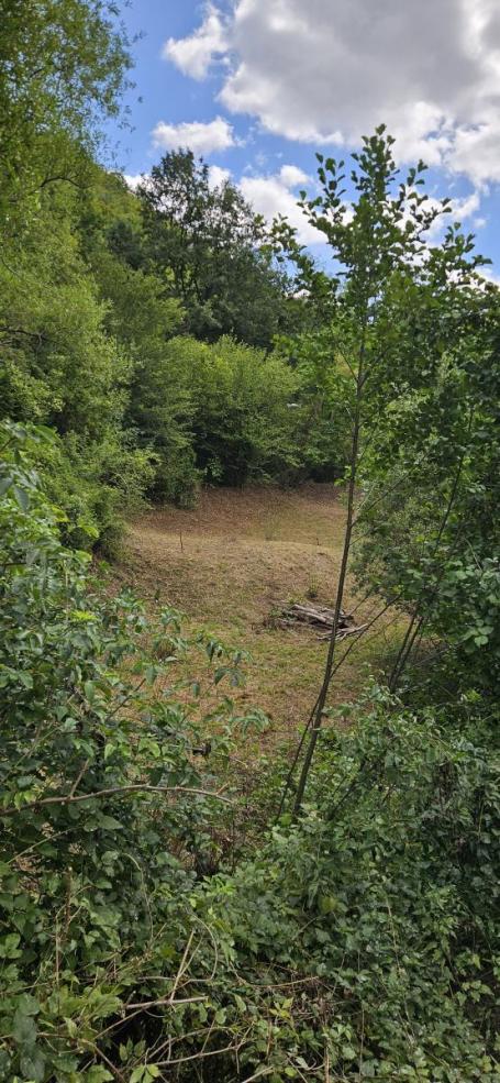 Na prodaju atraktivan plac uz izvor i potok u selu Vrmdža kod Sokobanje – 11 ari