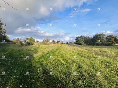 Građevinsko zemljište 7.335 m² – Žminj, Istra | Izgradivost 40%, idealno za više vila , povoljno