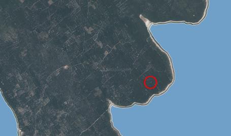 Island Olib - Forest, 7742 m2
