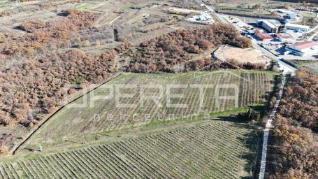 Posedarje - Gospodarsko zemljište 25.000 m² uz magistralu