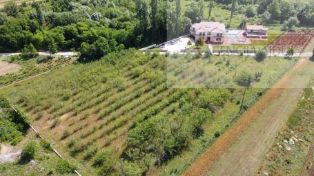 Imotski građevinsko zemljište 7000 m2 - akcija