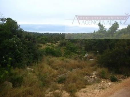 Šolta - Maslenica, poljoprivredno zemljište 26000 m2