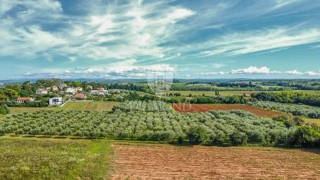 Gebiet Umag, Grundstück mit Investitionspotenzial 450 m vom Meer entfernt!