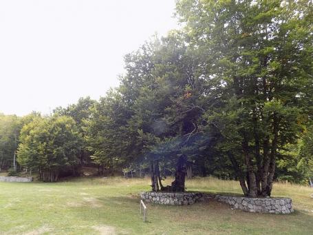Lovcenski park 