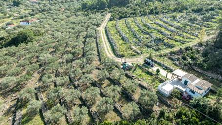Poljoprivredno zemljište na Korčuli – 14.406 m2 za razvoj i ulaganje

