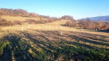 PLAC U SELU VRMDŽA KOD SOKOBANJE