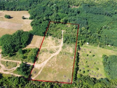 Plac 23948 m² na Prodaju – Velje Selo, Danilovgrad