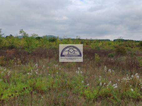 Prodaja, Plac, 0m2 , Male pčelice