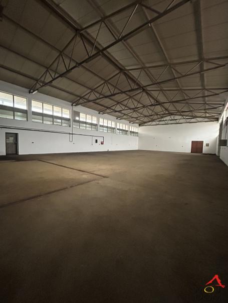 VETERNIK - VETERNIK - IZDAVANJE NEKRETNINA - 600 m2 - 3,000€