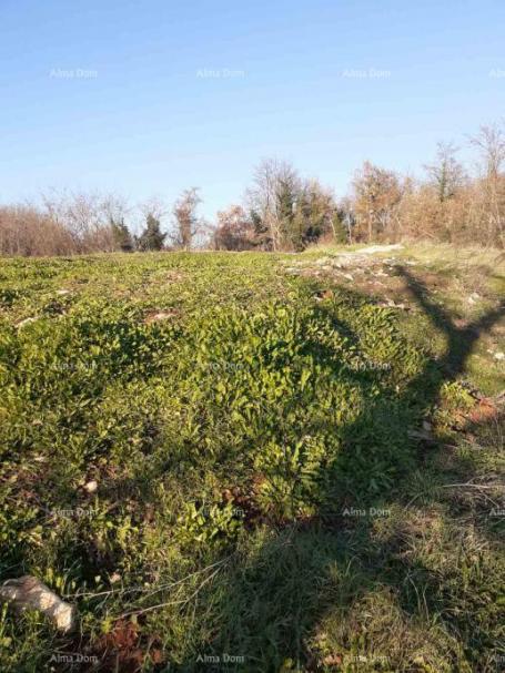 Građevinsko zemljište Prodaje se zemljište u Brtonigli (Istra) –građevinsko i   poljoprivredno, ukup