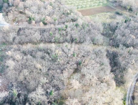 Poreč, okolica, rubno zemljište s pogledom na more