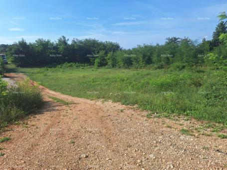 Building land