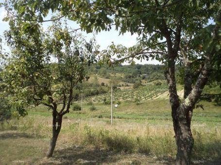 Building land