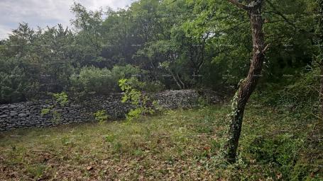 Građevinsko zemljište Građevinsko i poljoprivredno zemljište u blizini Svetvinčenata: 11100 m² za va
