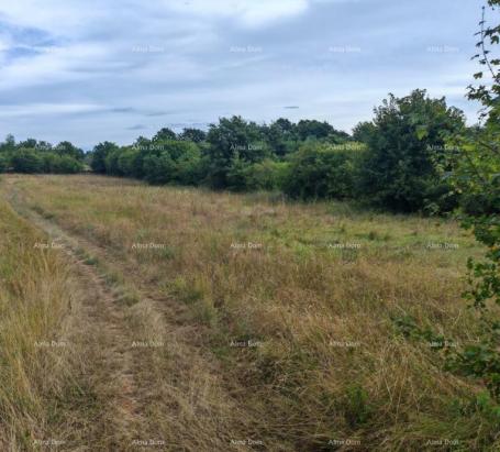 Bauland Baugrundstück mit einer Fläche von 1.600 m² in der Nähe von Svetvinčenat