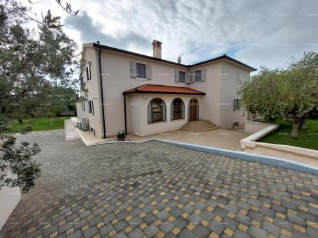 House Modern house with two apartments, indoor pool and large yard