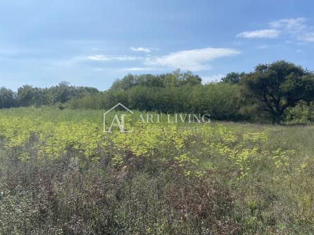 Umag, okolica - poljoprivredno zemljište na mirnoj lokaciji, 3700 m2