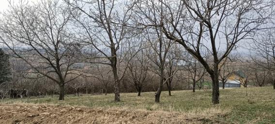 GRAĐEVINSKI PLAC U ČEREVIĆU KA ANDREVLJU, LEP POGLED