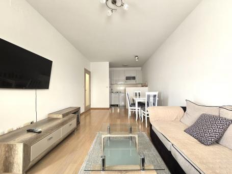Jednosoban namješten stan,  49m2,  City kvart,  Podgorica. 