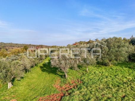 Istra, Lovrečica- građevinsko zemljište 683 m2

