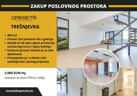 Najam, Ured, Trešnjevka, Selska, 300m2