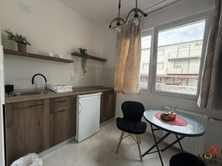 PETROVARADIN - PETROVARADIN - IZDAVANJE NEKRETNINA - 46 m2 - 500€