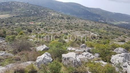 Poljoprivredno zemljište prodaja, Marina