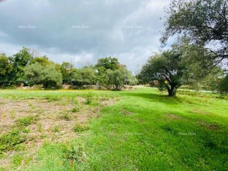 Building land Building plot, near Krnica!