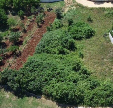 Building land