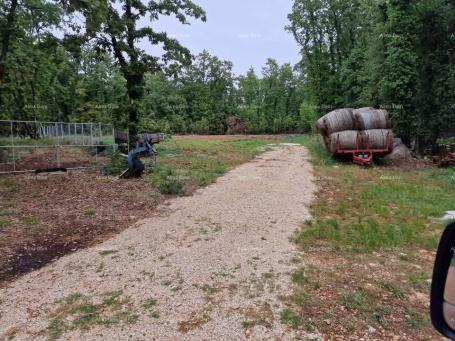 Građevinsko zemljište Prodaje se građevinsko zemljište od 1236 m², s građevinskom dozvolom i projekt