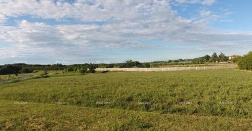 Building land For sale: construction land, 7,159 m² – Brtonigla