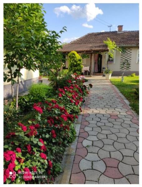 Kraljevo - Adrani - kuća - parcele