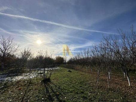 Kuća 114m2 sa halom od 230m2 na placu od 3952m2