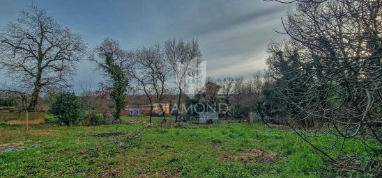 Brtonigla, okolica, predivno zemljište 530 m2 na rubu naselja