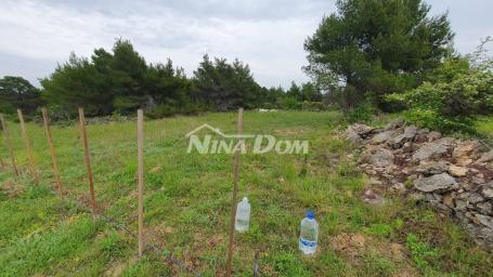 Poljoprivredno zemljište, 899 m2