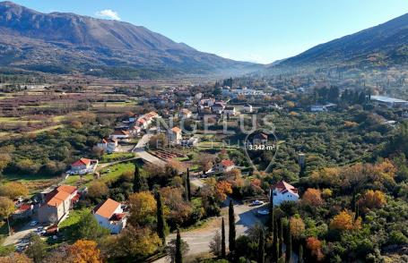 Konavle, Gruda – građevinsko zemljište blizu magistrale, 3.342 m2 – PRODAJA
